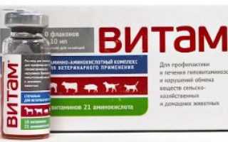 ВИТАМ 10мл р-р для инъекций, описание