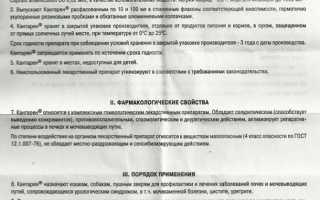 Зачем и когда собаке назначают Кантарен