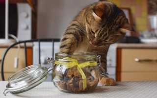 Лакомство Dreamies для взрослых кошек — отзывы 	 Отрицательные. Нейтральные. Положительные. + Оставить отзыв Отрицательные отзывы Sasha_PLUS https://irecommend.ru/content/drimies-sladkii-yad-dlya-kosh