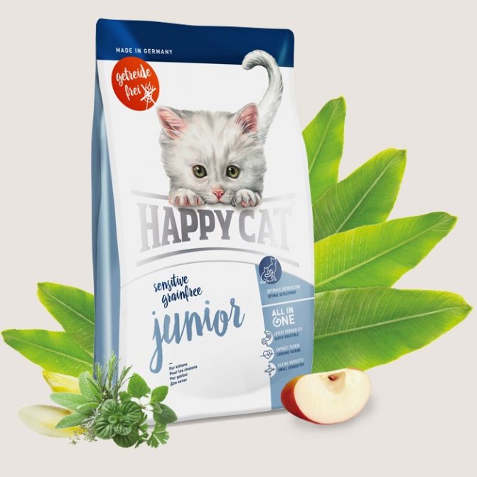 Для котят
