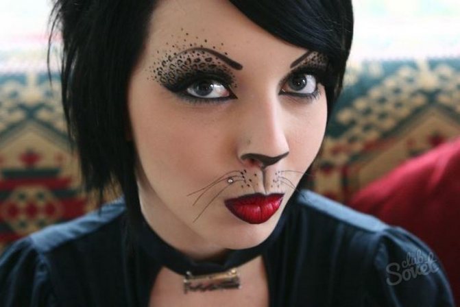 Как нарисовать кошку на лице