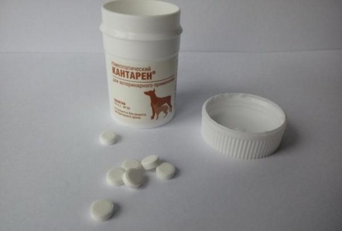 Кантарен для кастрированных собак