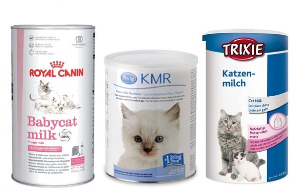 Молочная смесь для котят