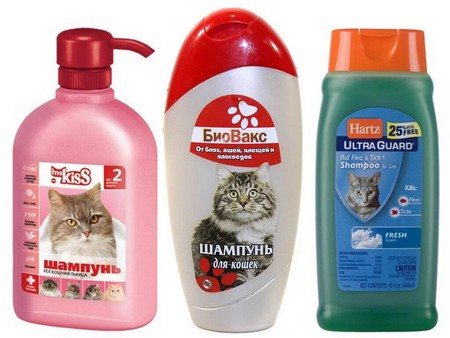 Виды шампуней для котов